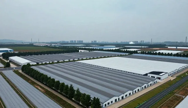 企业转型中数字化工具的应用场景分析